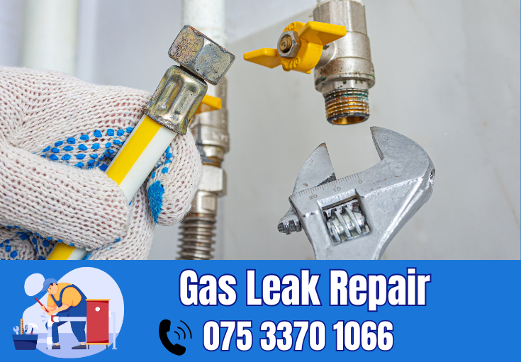gas leak repair Tunbridge Wells