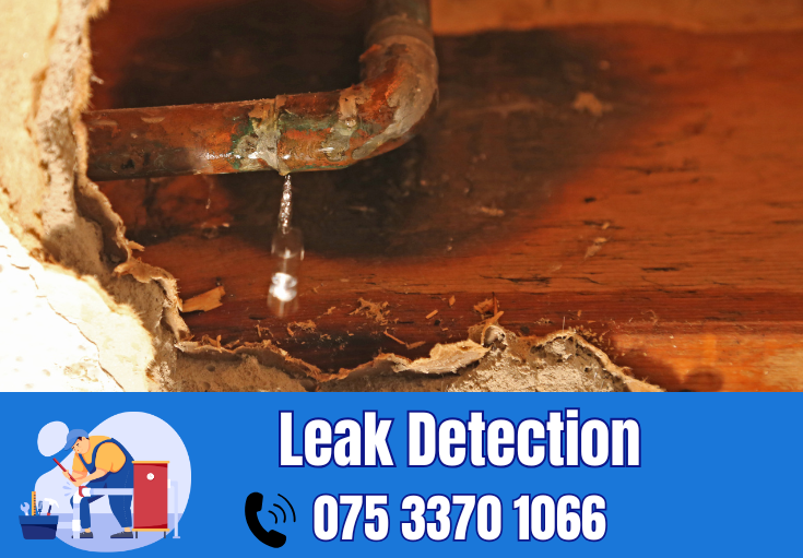 leak detection Tunbridge Wells